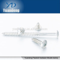 stainless steel tapping screw/ hexgan/flat/pan/square head bolt/hexgon socket head cap screw/ screw with washer